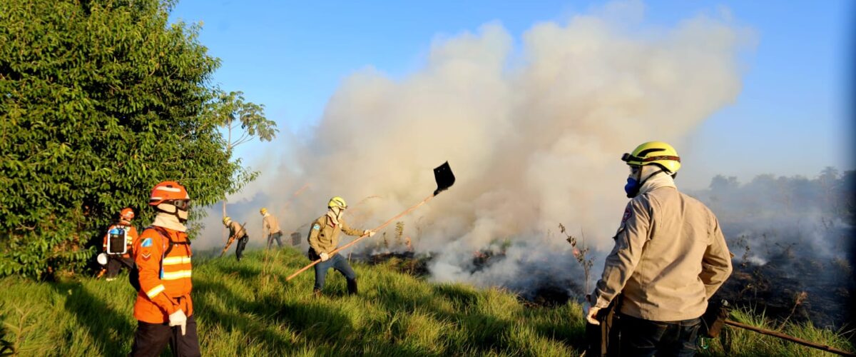 Treinamento de combate ao fogo qualifica novos soldados dos Bombeiros para atuar em incêndios florestais