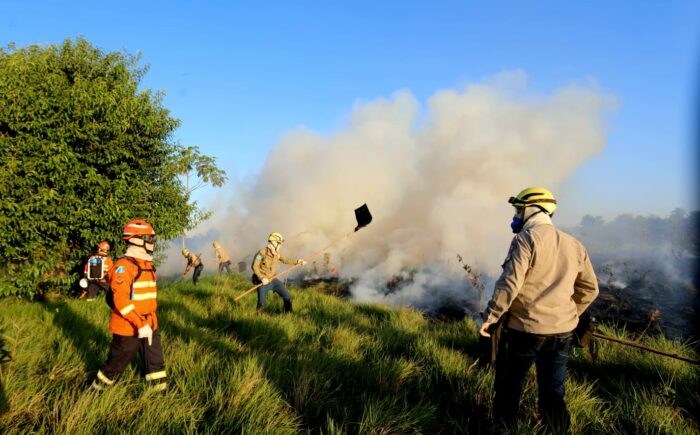 Treinamento de combate ao fogo qualifica novos soldados dos Bombeiros para atuar em incêndios florestais