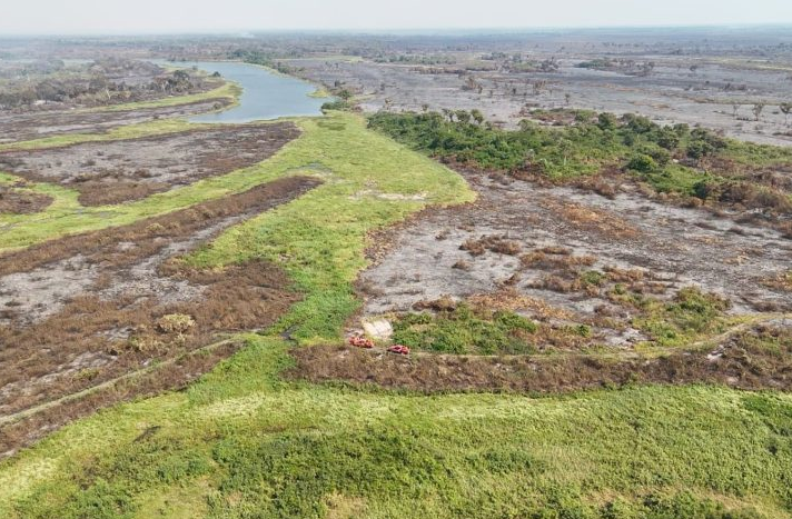 Estiagem: Bombeiros de MS adotam estratégias diversas nas linhas de combate ao fogo