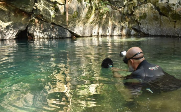Cascudo criticamente ameaçado de extinção é avistado em caverna de Bonito após 20 anos