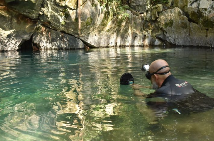 Cascudo criticamente ameaçado de extinção é avistado em caverna de Bonito após 20 anos