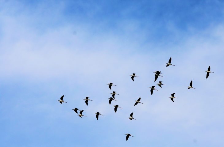 Semana começa com tempo estável em Mato Grosso do Sul