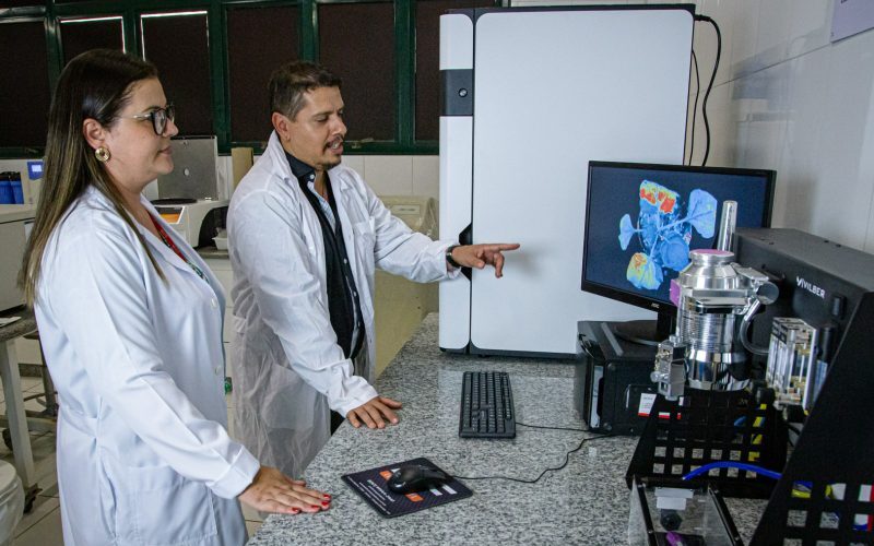 Fundect e Capes investem mais R$ 16,8 milhões em bolsas de pós-graduaçã