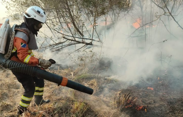 Amor e determinação: mulheres têm papel de destaque no combate aos incêndios no Pantanal