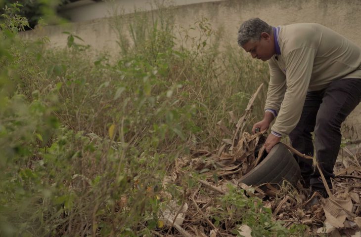 Mato Grosso do Sul registra 15 mil casos confirmados de dengue