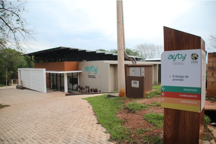 Hospital Ayty completa um ano de atividade com 3 mil reabilitações de animais silvestres
