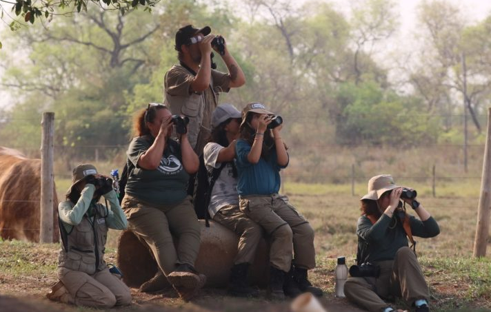 Turismo em ascensão: desafio de observação de aves registra 345 espécies em MS