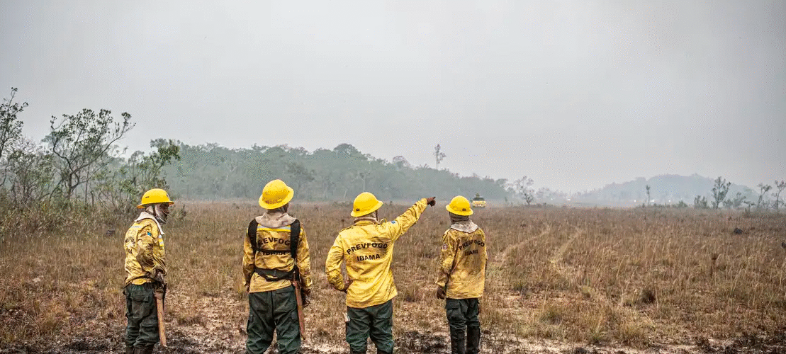 Dino estabelece orçamento de emergência para combate a incêndios