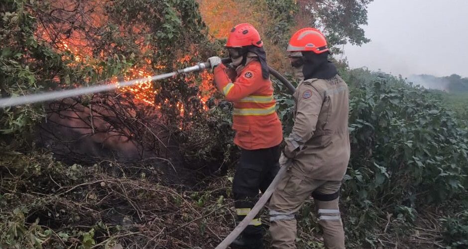 Bombeiros atuam no controle de incêndios florestais em MS