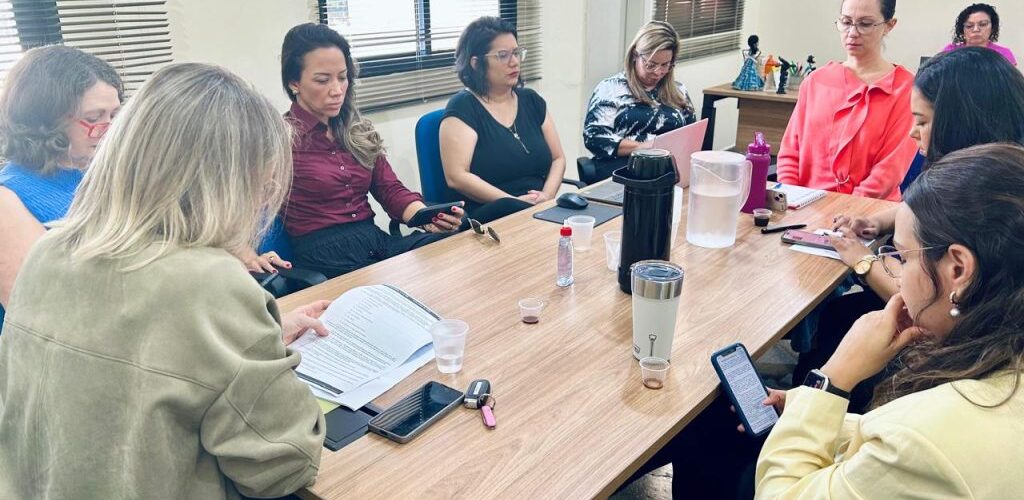 Conselho Estadual dos Direitos da Mulher abre as inscrições para o triênio 2024-2027