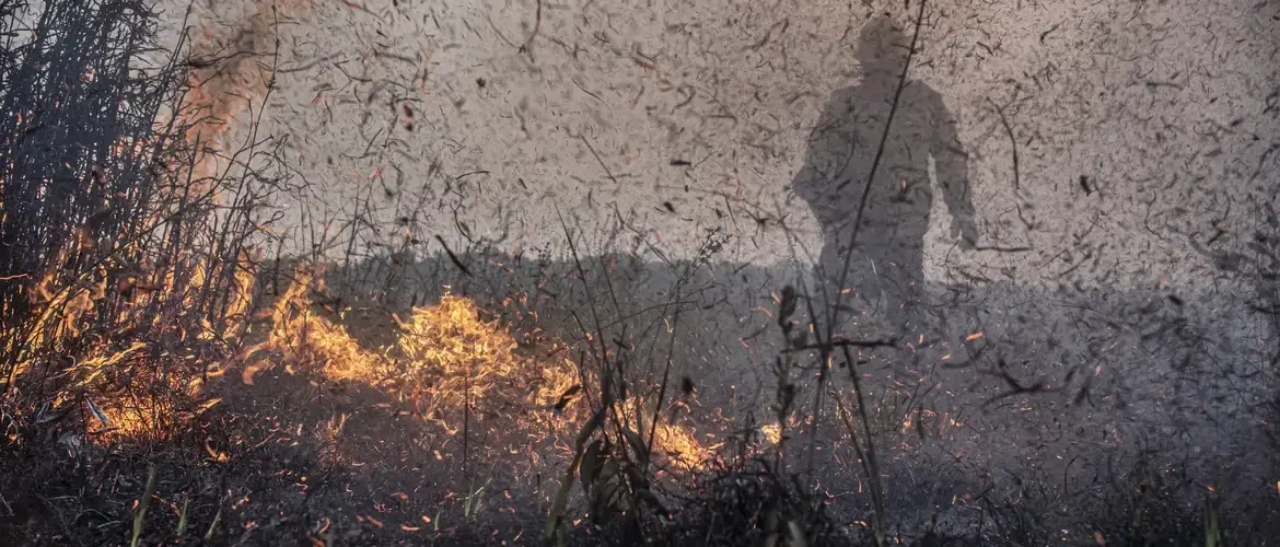 Focos de incêndios no Brasil já são 76% maior que em 2023