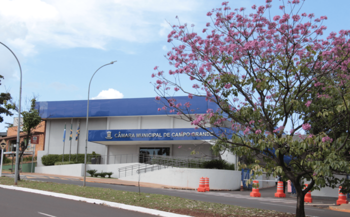 Conheça os 29 vereadores eleitos em Campo Grande