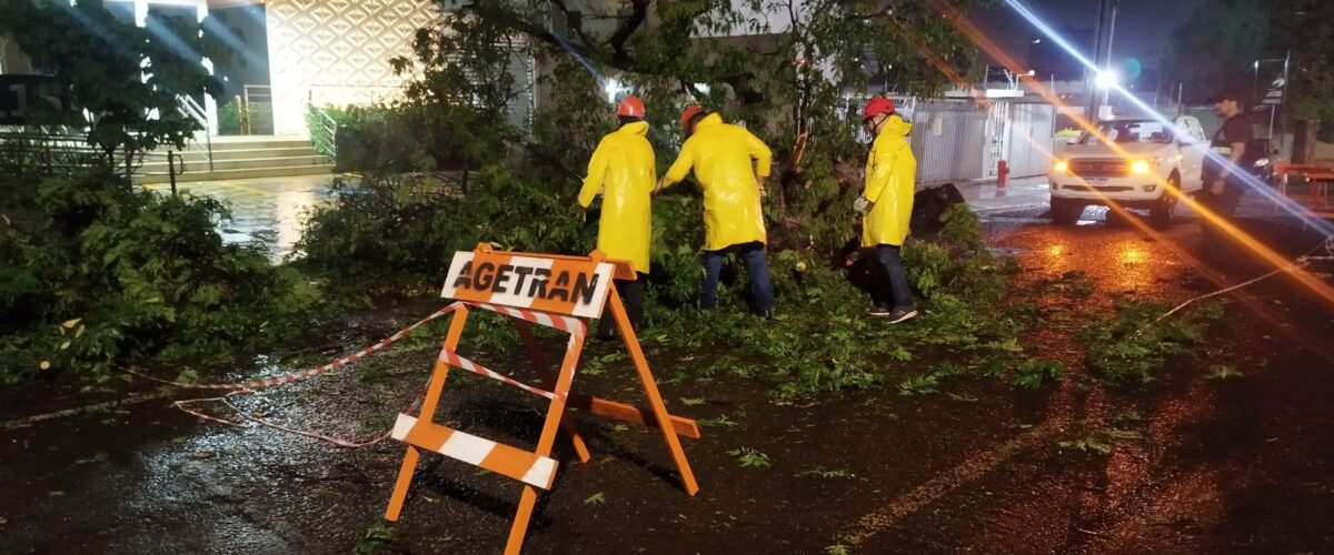 Prefeitura mobiliza equipes de serviço para recuperação de danos após forte tempestade na Capital