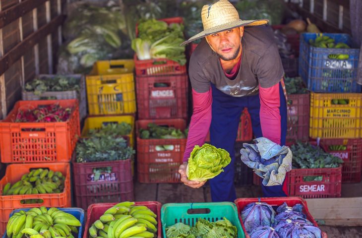 SES realiza web aula para celebrar 10 anos do Guia Alimentar Brasileiro