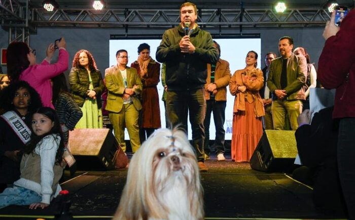 Governo lança certificação para protetores de animais e ONGs de MS