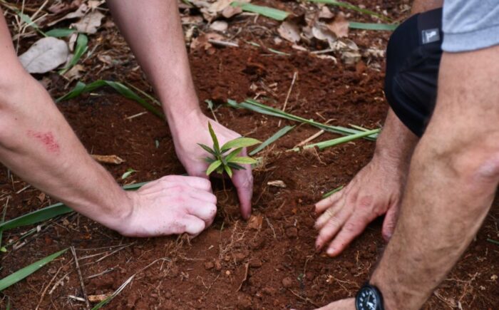 Prefeitura conclui plantio de três mil mudas de frutos nativos em região turística de Campo Grande