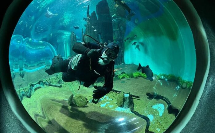 Bioparque Pantanal abrirá as portas no feriado com horário especial