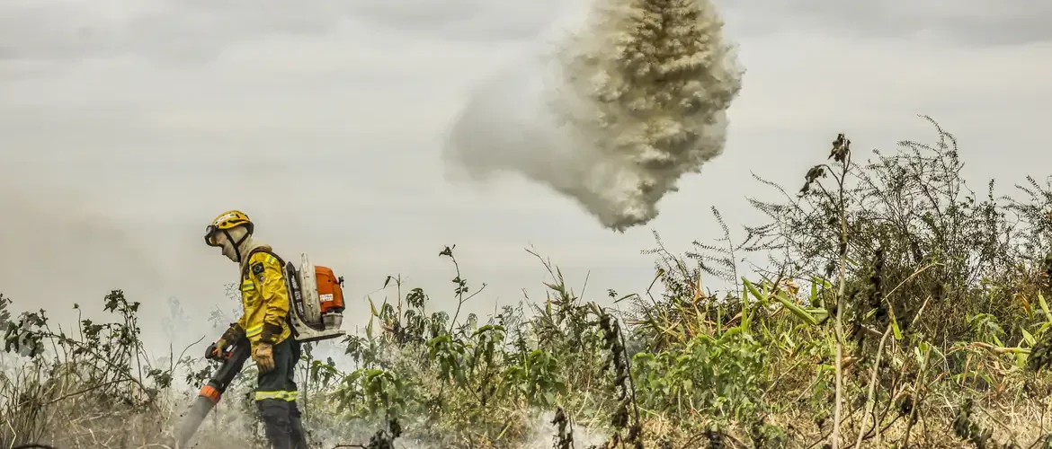 Pantanal: redução da área alagada tem favorecido aumento de incêndios