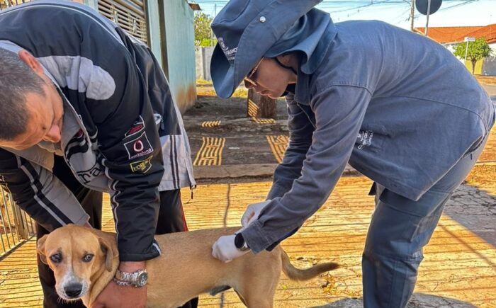 CCZ realiza vacinação em cães e gatos na Praça Ari Coelho nesta quarta-feira na Capital