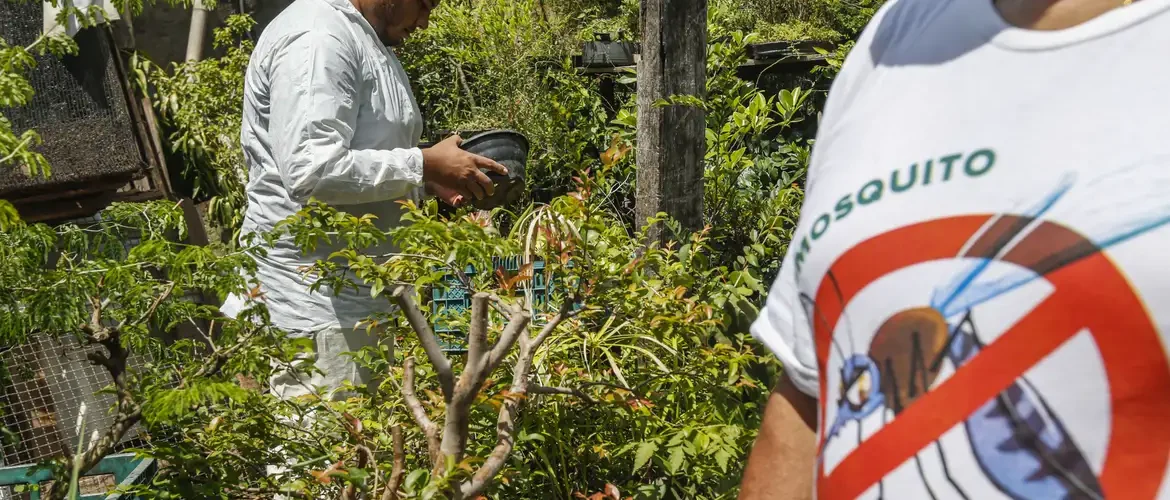 Dia D contra dengue promove ações de conscientização em todo o Brasil
