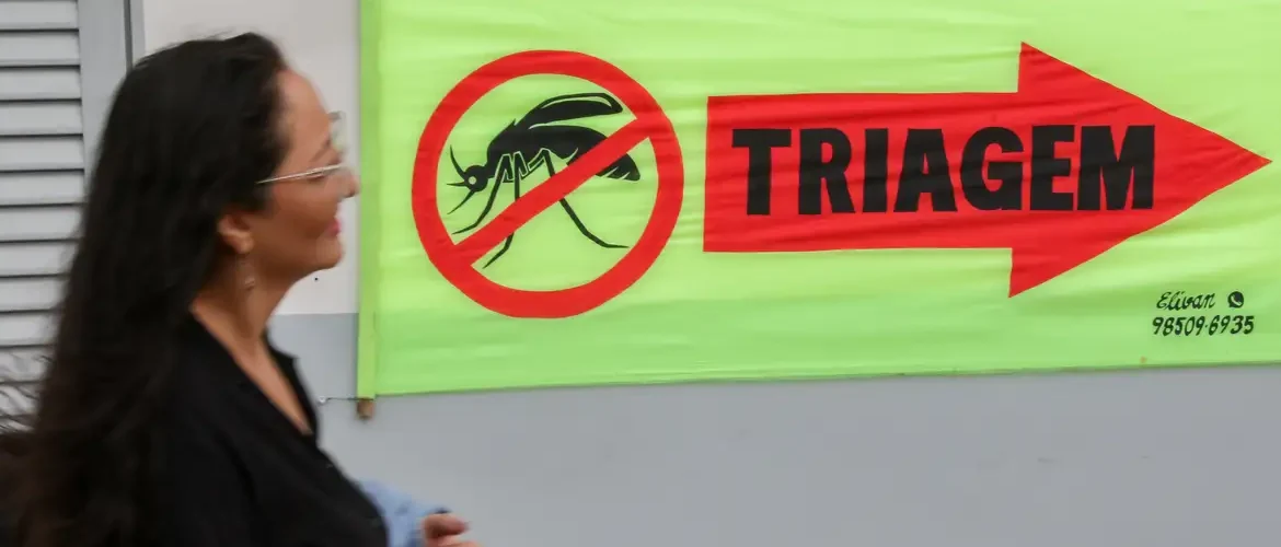 Entenda o que são sorotipos da dengue e por que o tipo 3 preocupa