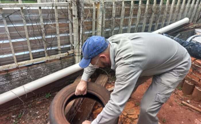 Medidas de prevenção e vacinação são armas essenciais para o combate à dengue em Campo Grande