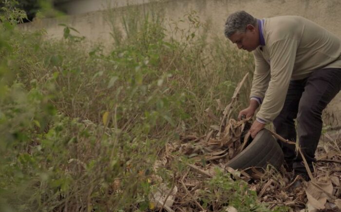 MS registra 204 casos confirmados de dengue