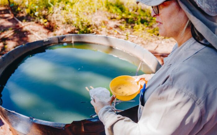 Com mais de 500 notificações, ações de combate à dengue são reforçadas