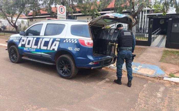 Procurado por roubo é preso após resistir à abordagem policial em Ivinhema