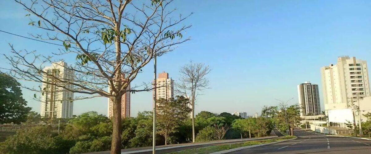 Campo Grande terá terça-feira de sol entre nuvens e máxima de 31°C