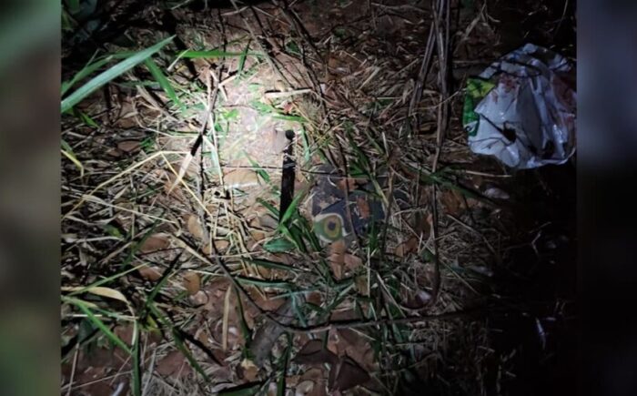 Suspeito de roubo morre após confronto com policiais em área de mata em Campo Grande