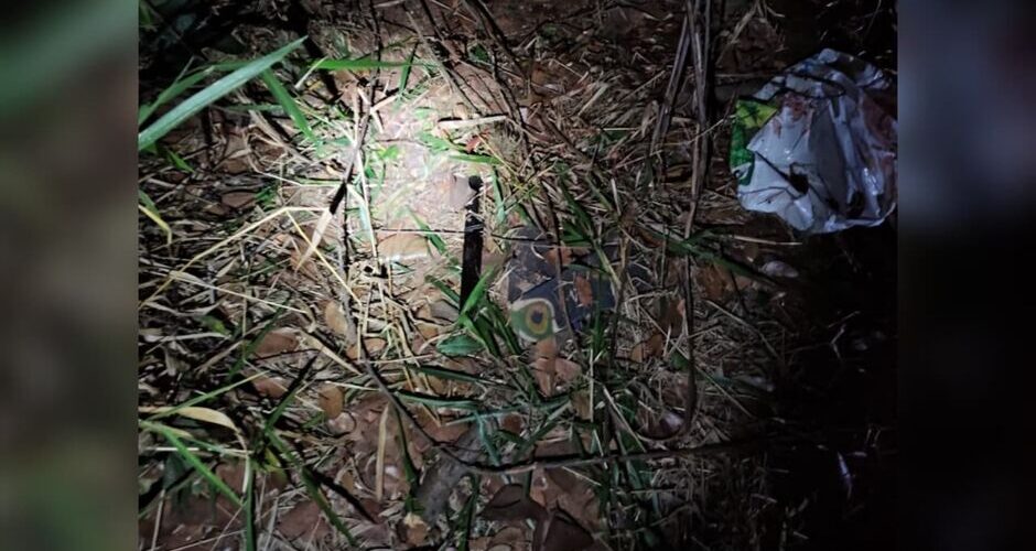 Suspeito de roubo morre após confronto com policiais em área de mata em Campo Grande